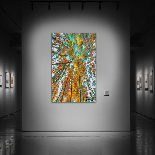 Un regard vers le ciel (2024)