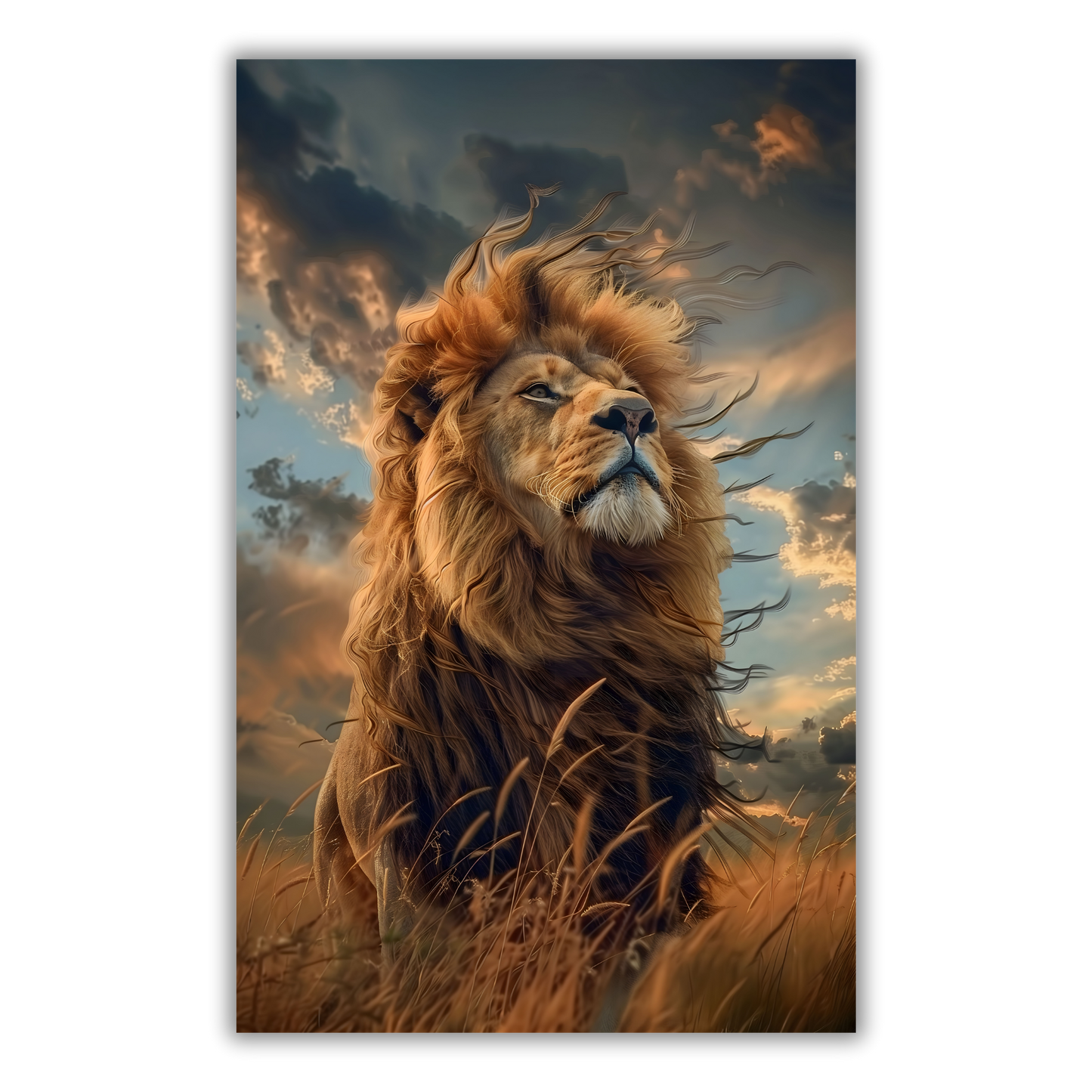 Le Roi