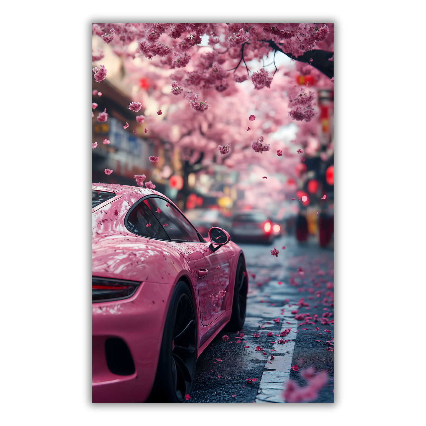 Sakura & Cylindres