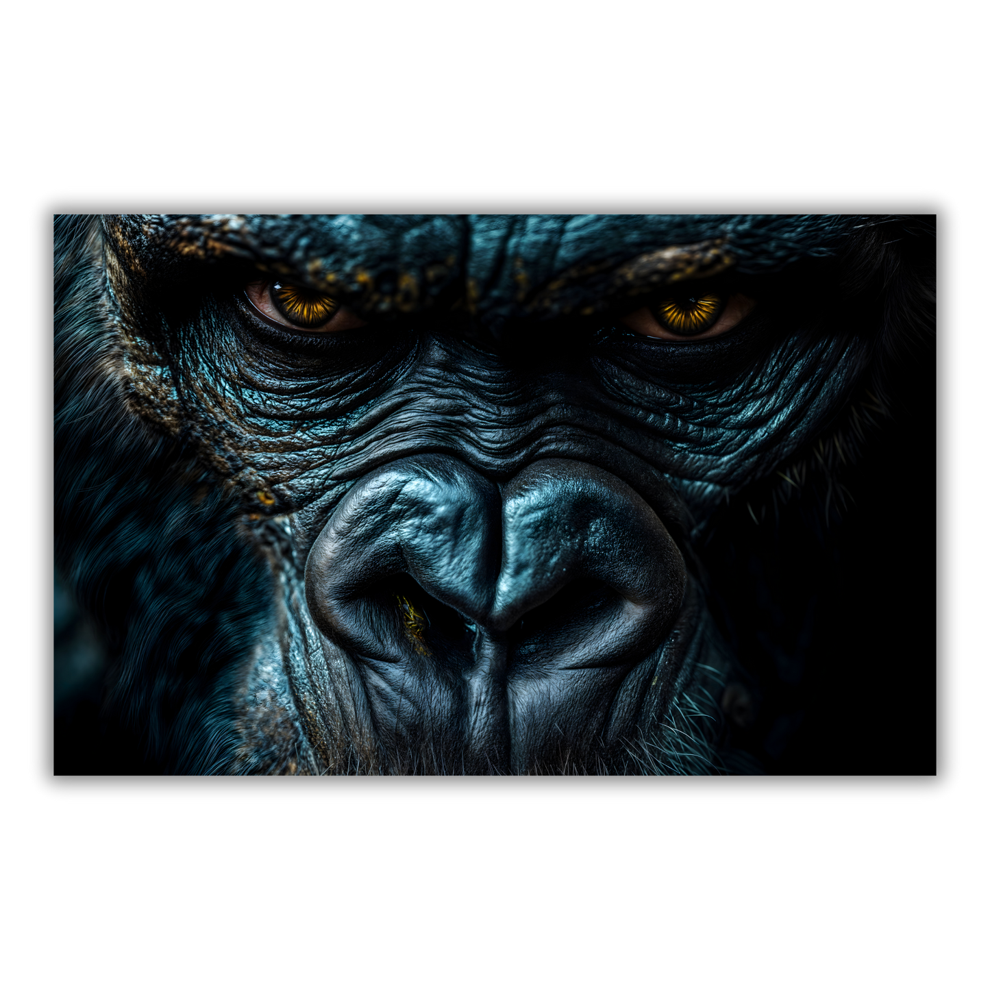 Regard Alpha