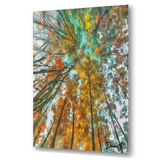 Un regard vers le ciel (2024)