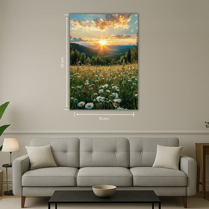 paysage naturel avec marguerites et lumière dorée