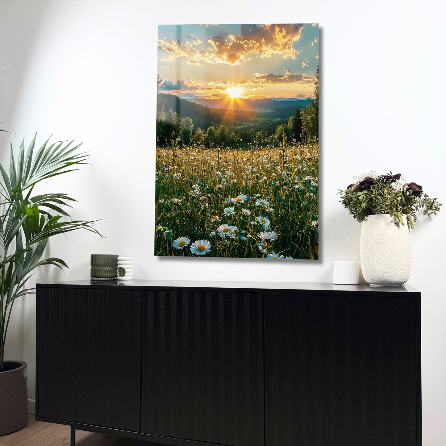 fleurs blanches dans un champ au soleil couchant