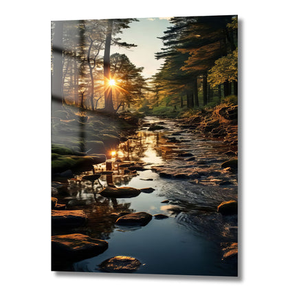 rivière forestière avec soleil traversant les arbres