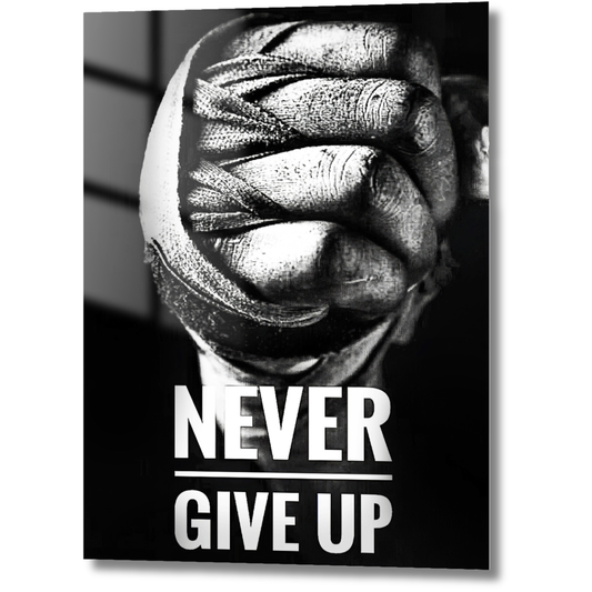 Never Give Up