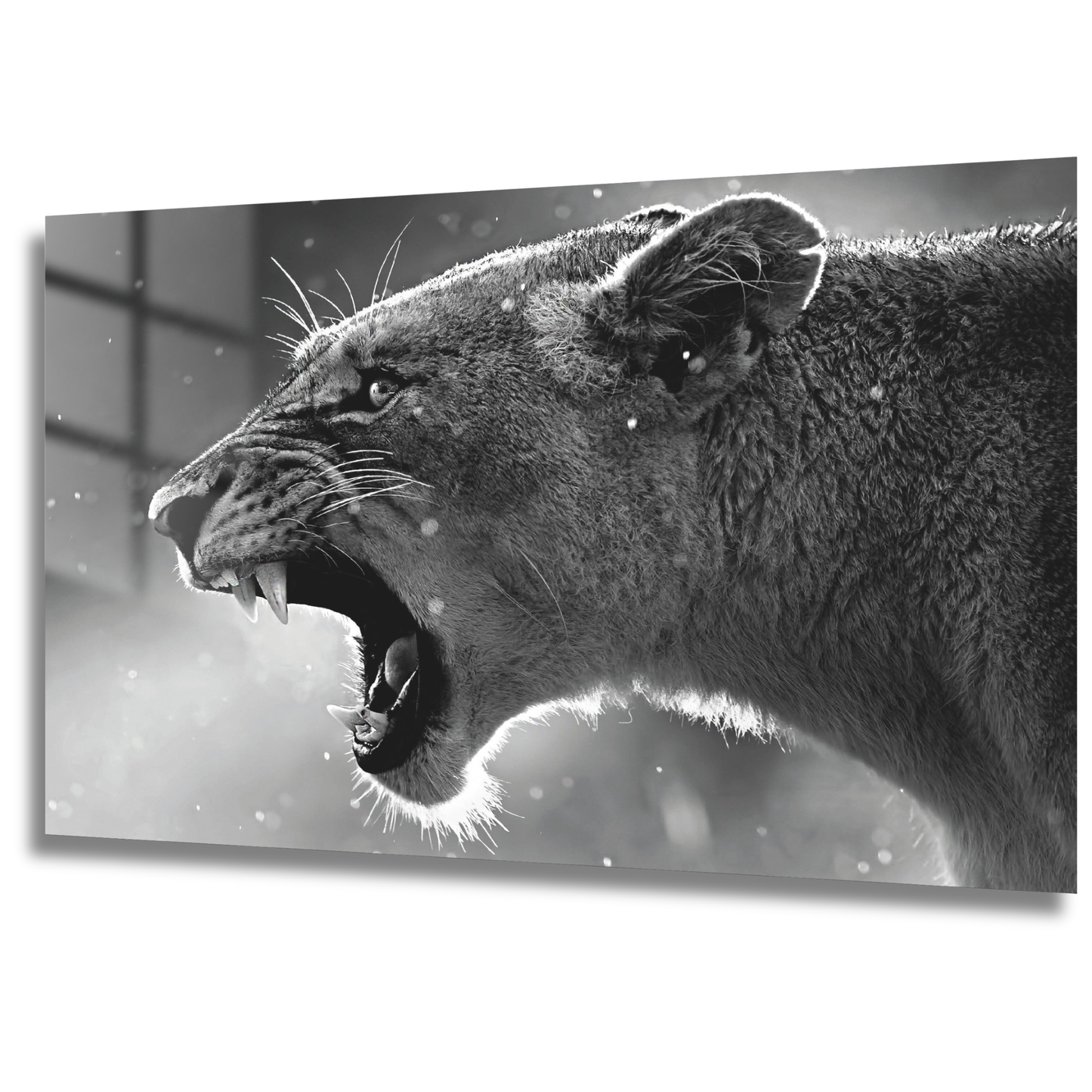 Rugissement de reine