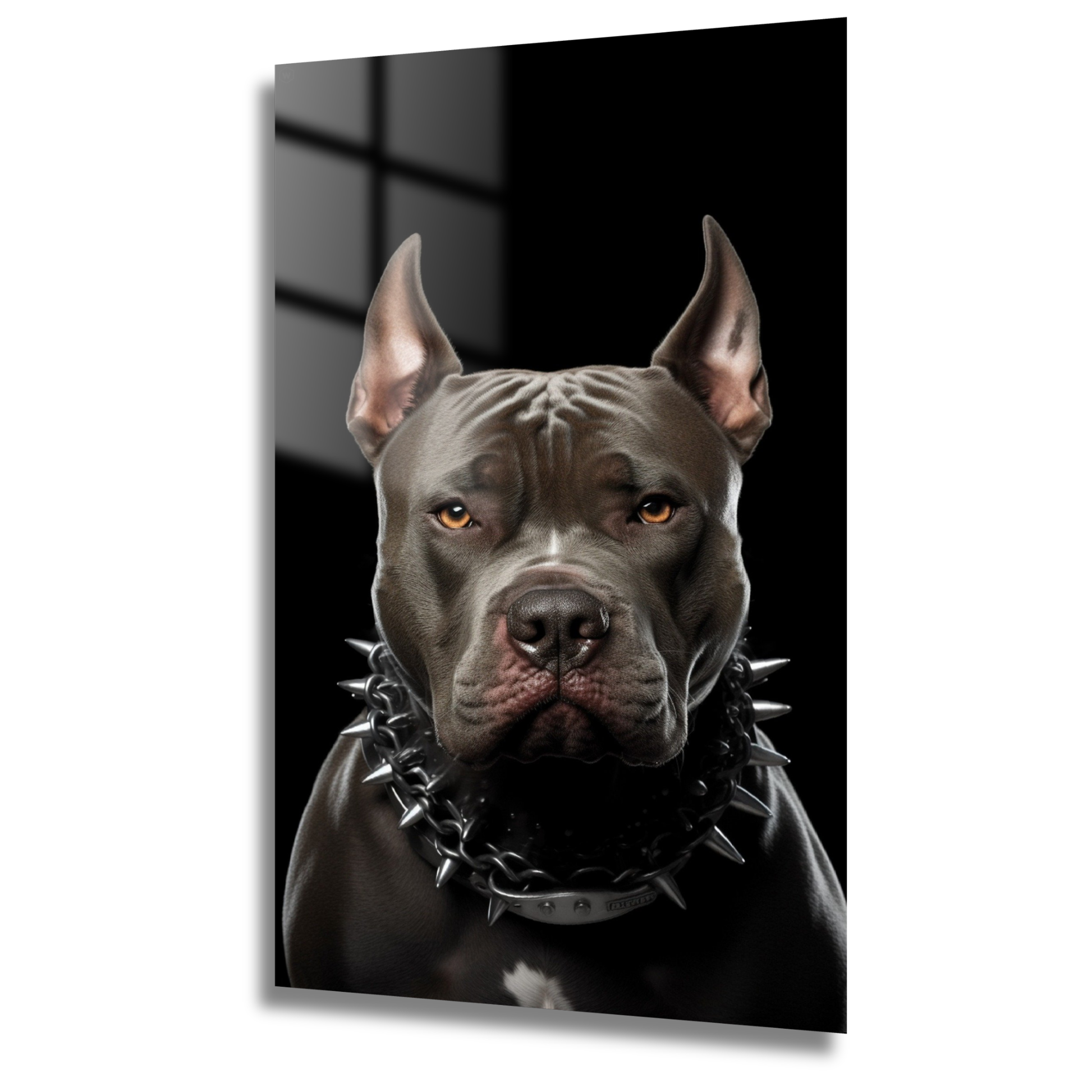 tableau pitbull noir au regard intense en verre trempé